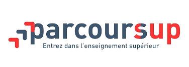 images removebg preview